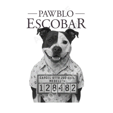 Pawblo - T-Shirt