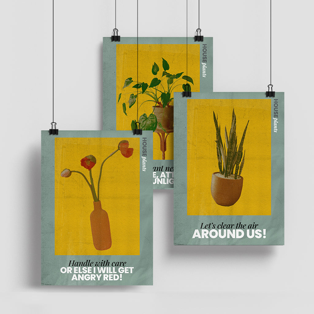 Poster Pack of 3 - House Plant Series