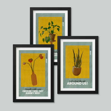 Poster Pack of 3 - House Plant Series